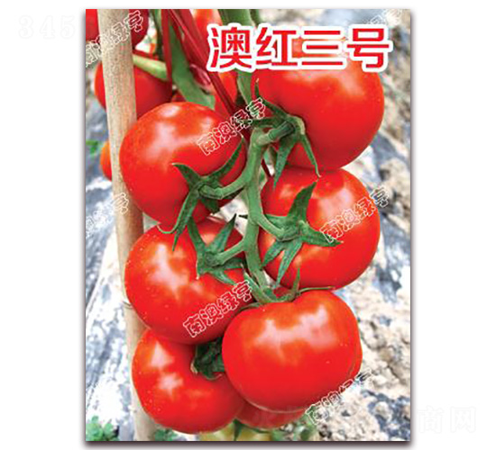 �ļt��̖-��t���ѷN��-�ϰľG��