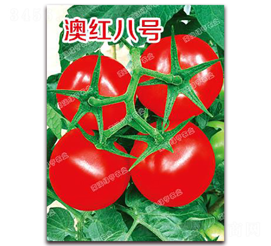 �ļt��̖-��t���ѷN��-�ϰľG��