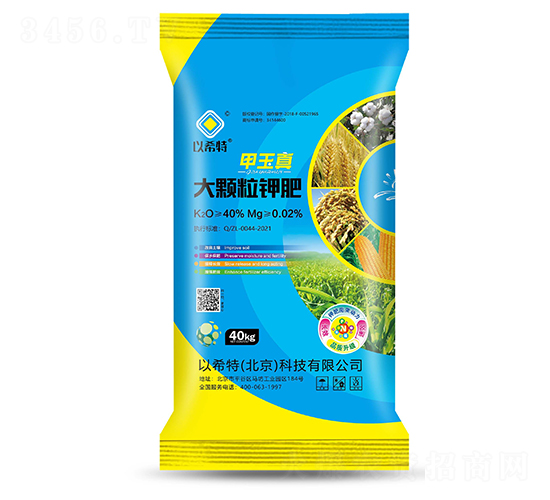 40%��������w��⛷�-�Љ�