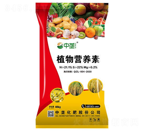 ֲ��I(y��ng)�B(y��ng)��-�Љ�