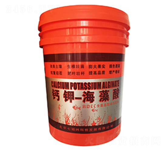 �}⛺�����-�߿���