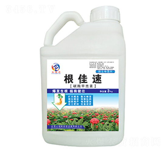 ̼ø�ך���-������-�߿���