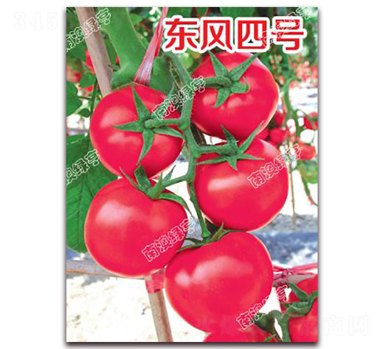 �|�L(f��ng)��̖-�۹����ѷN��-�ϰľG��