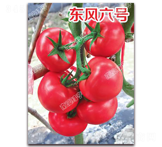 �|�L(f��ng)��̖(h��o)-�۹����ѷN��-�ϰľG��