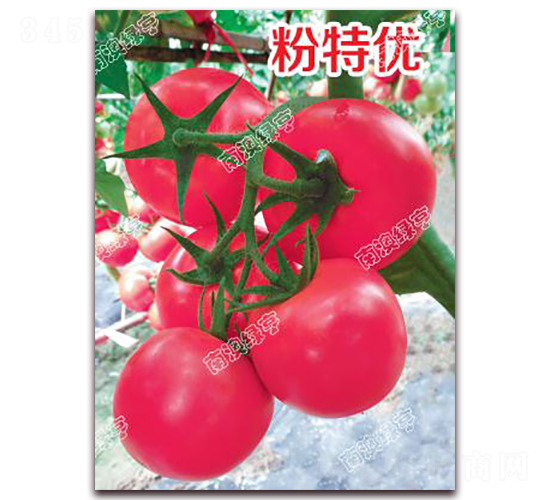 ���؃�(y��u)-�۹����ѷN��-�ϰľG��