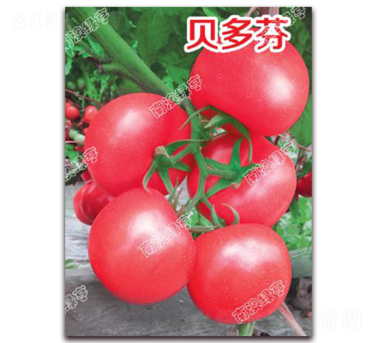 ؐ���-�۹����ѷN��-�ϰľG��