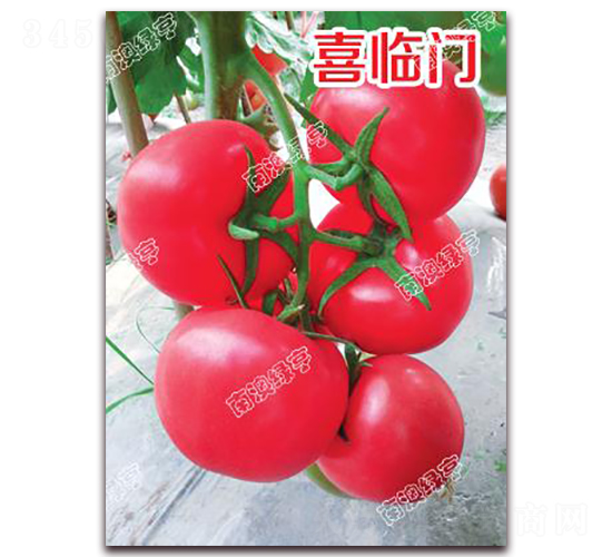 ϲ�R�T-�۹����ѷN��-�ϰľG��