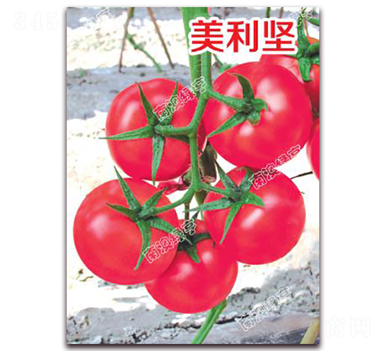 ������(ji��n)-�۹����ѷN��-�ϰľG��