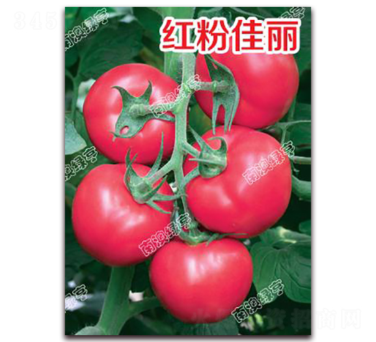 �t�ۼ���-�۹����ѷN��-�ϰľG��