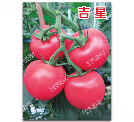 ����-�۹����ѷN��-�ϰľG��