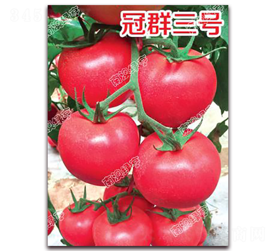 ��Ⱥ��̖-�۹����ѷN��-�ϰľG��