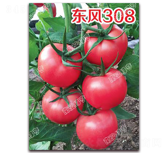 �|�L(f��ng)308-�۹����ѷN��-�ϰľG��