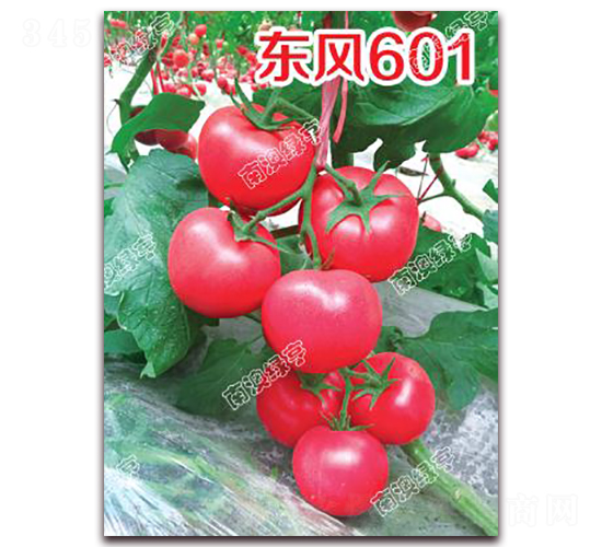 �|�L601-�۹����ѷN��-�ϰľG��