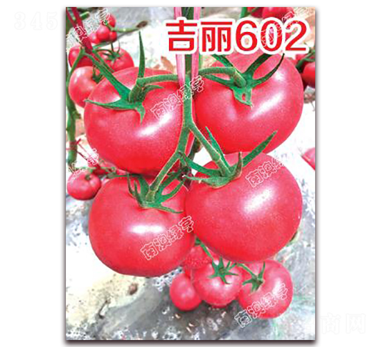 ����602-�۹����ѷN��-�ϰľG��