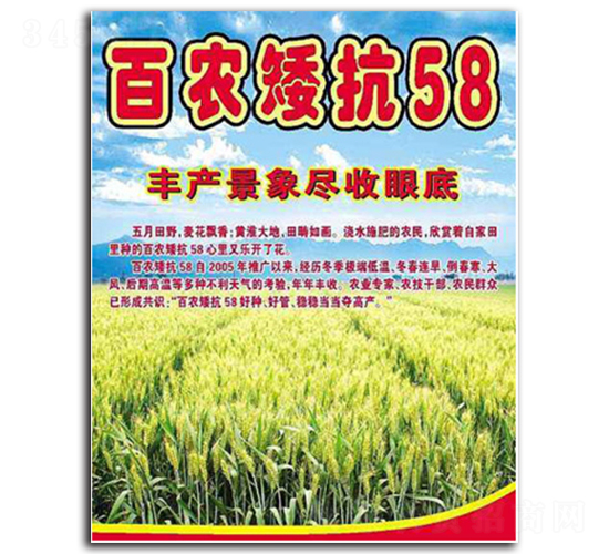 ���r(n��ng)����58-С���N��-���S�N�I(y��)