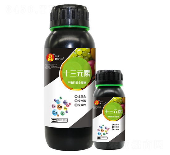 ʮ��Ԫ��-�T���S����