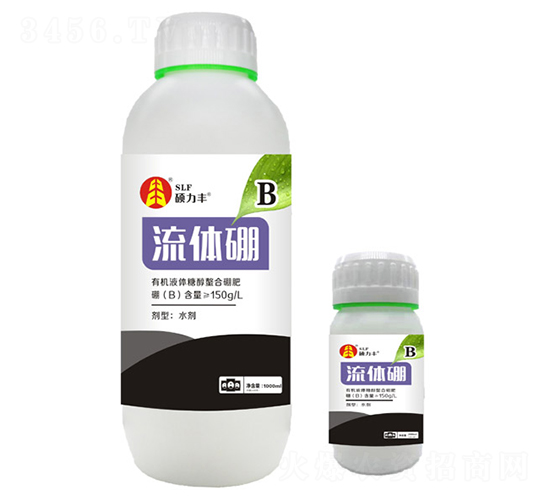 ���w���-�T���S����