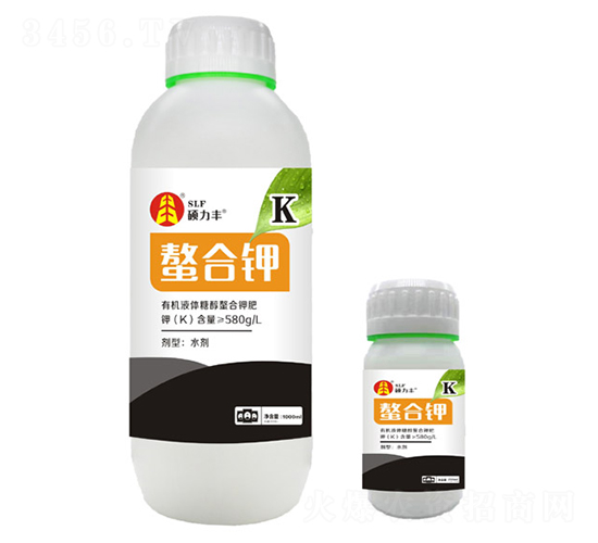 ����⛷�-�T���S����