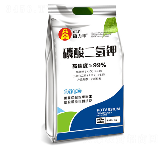 �������⛷�-�T���S����