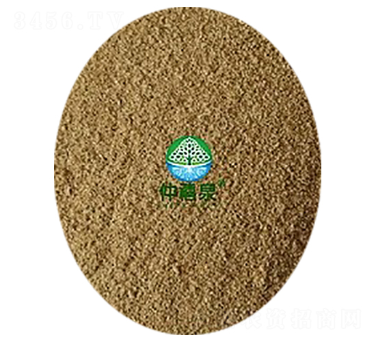 �ݲ�ѿ�ߗU����200�|-g����ȫ�ܣ�-����Ȫ