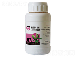 ����Ԫ��-��(B)��-ֲԭ�B(y��ng)�r(n��ng)�I(y��)