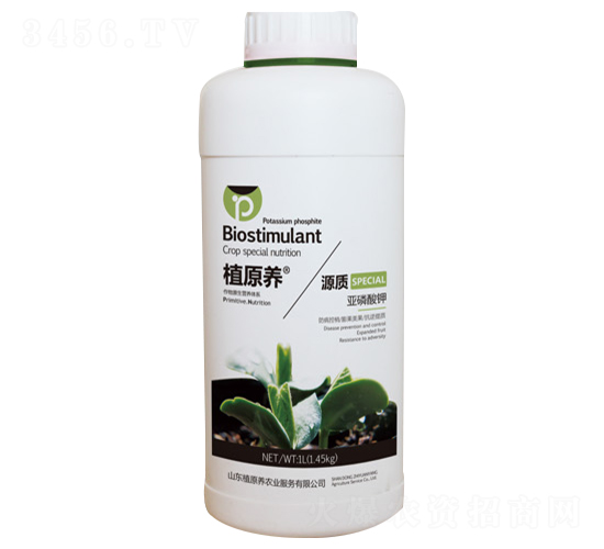 ������⛷�-Դ�|(zh��)-ֲԭ�B(y��ng)�r(n��ng)�I(y��)