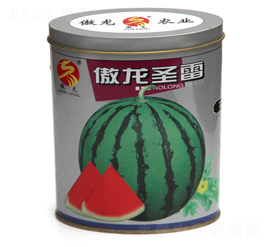 ����ʥ��-���ϷN��-����