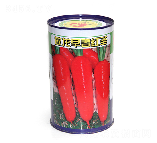 ����?zh��)ؼ����t-�t�}���N��-����