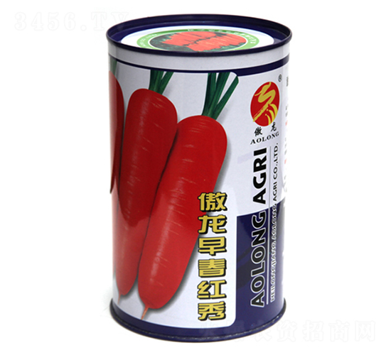 ����?ji��n)紺�t��-�t�}���N��-����