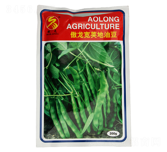 �������v���Ͷ�-�Ͷ��N��-����