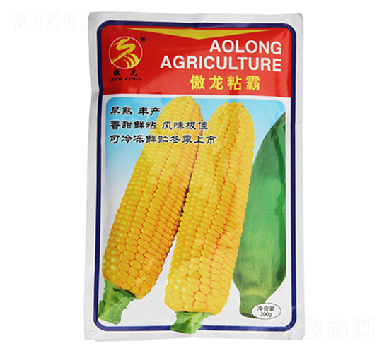 ����ճ��-���׷N��-����