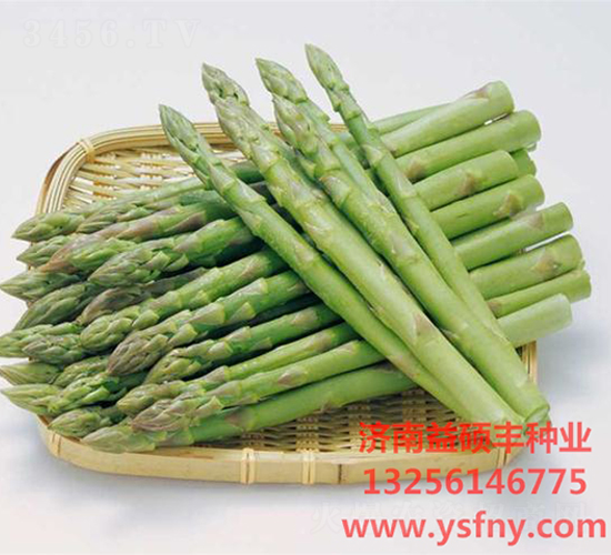 ʢ�S�G1̖(h��o)-�J�S�N��-��T�S�r(n��ng)�I(y��)