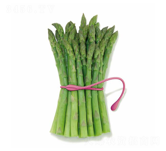 ���m��F1-�J�S�N��-��T�S�r(n��ng)�I(y��)