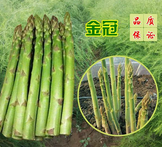 ���F1-�J�S�N��-��T�S�r(n��ng)�I(y��)