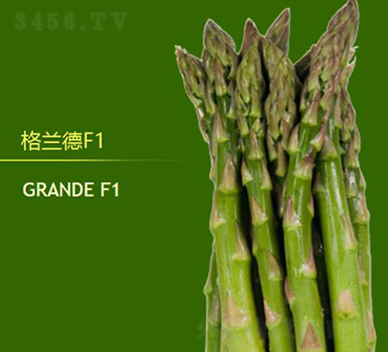 ���m��F1-�J�S�N��-��T�S�r(n��ng)�I(y��)