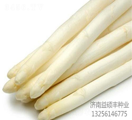 ���S��F1-�J�S�N��-��T�S�r�I(y��)