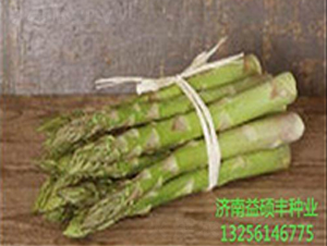 ����(gu��)ȫ��-�J�S�N��-��T�S�r(n��ng)�I(y��)