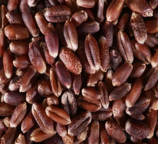 ��(y��u)�|(zh��)��С��-С���N��-��T�S�r(n��ng)�I(y��)