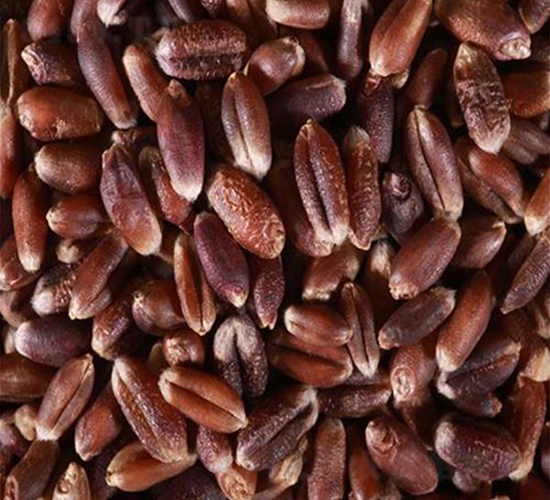 �߮a��С��-С���N��-��T�S�r�I(y��)