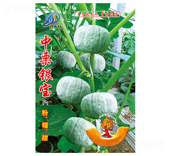 �����y��-�ϹϷN��-�����r(n��ng)�I(y��)