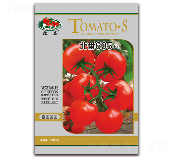 ����605F1-�t�����ѷN��-����