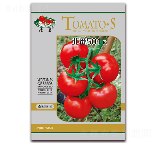 ����501F1-�t�����ѷN��-����