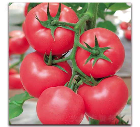 ����308-�۹����ѷN��-����