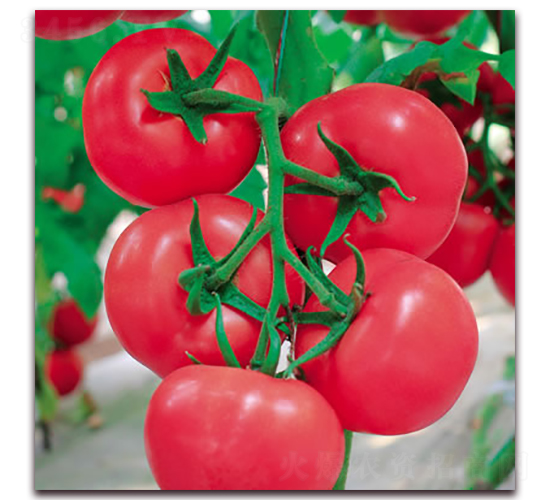 �W��90-�۹����ѷN��-����