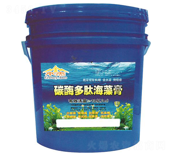 ̼ø���ĺ����-��ķ˹����