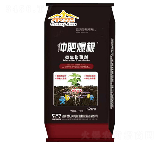 ΢�������-�ٷʱ���-��ķ˹����