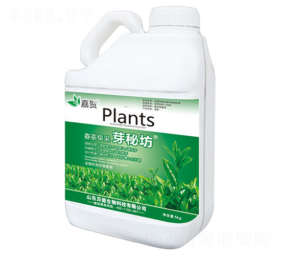 �������ѿ�ط�-���R-ؐ������