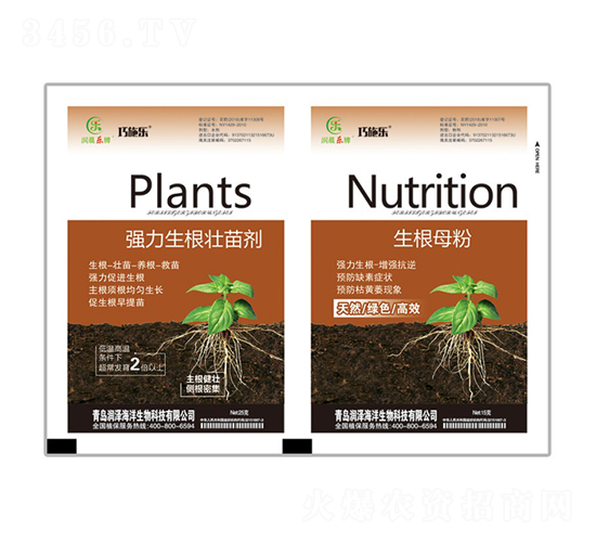 �����������焩+����ĸ��-��ʩ��-ؐ������