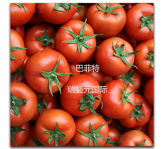 �ͷ���-�t�����ѷN��-��ʢԪ