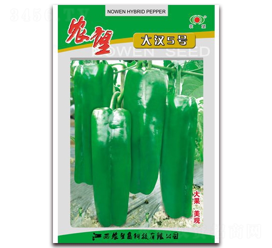 ��h5̖(h��o)-�ݽ��N��-�r(n��ng)��